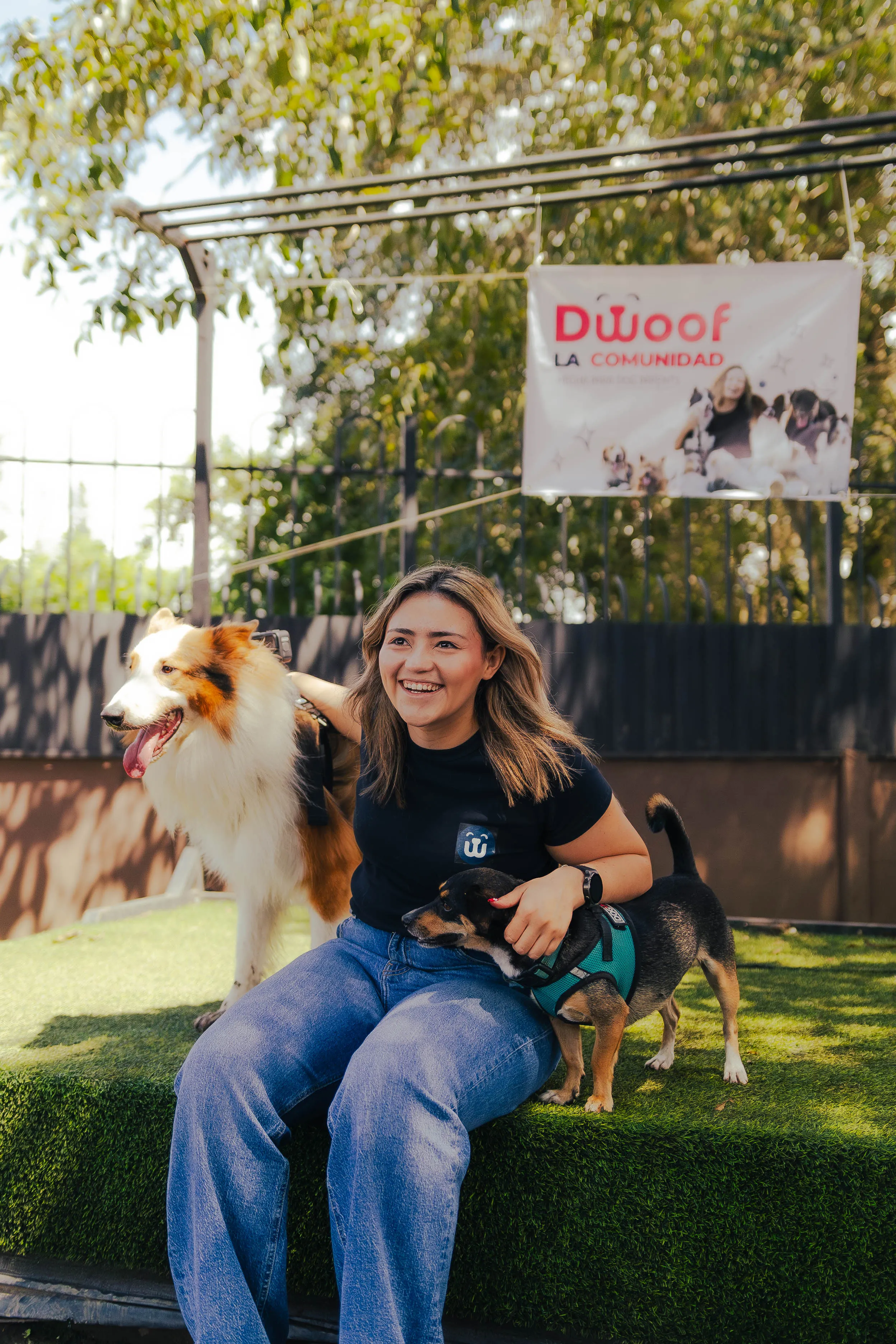 Tutora con su collie y un perro pequeño frente al banner de Dwoof